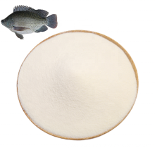 China liefert hochwertige OEM Pure Fish Anti-Oxidations-Kollagenpeptide